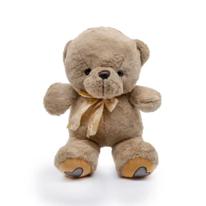 Teddy Bear With Heart - Brown